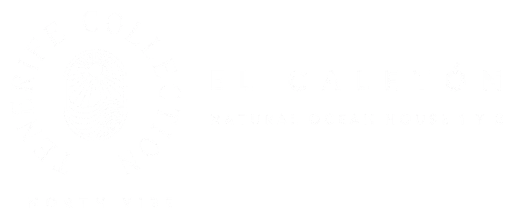Logo Tenerife Collection El Caletón